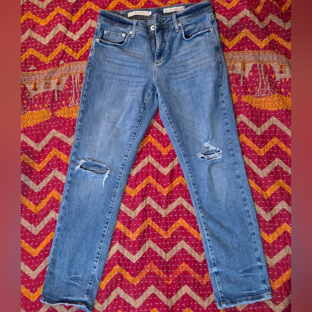 Pilcro and the Letterpress Medium Blue Ripped Skinny Jeans